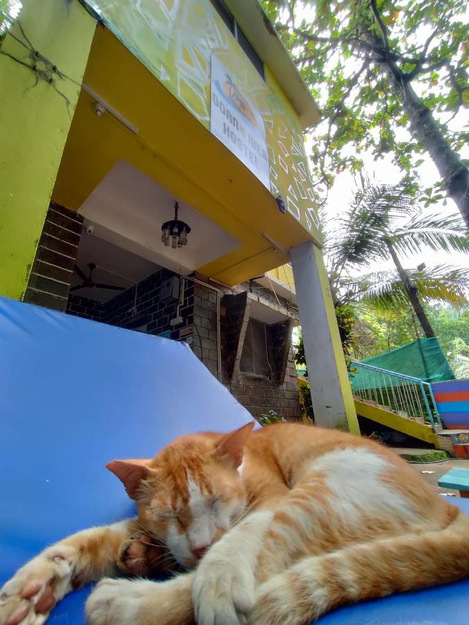 Goanvibes Hostel Anjuna Exterior photo